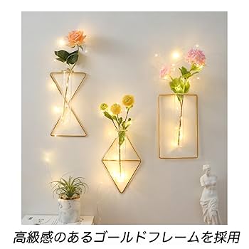 Amazon.co.jp: 壁掛け 花瓶 一輪挿し おしゃれ 試験管 ガラス